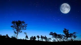 ogo_chand_tumi jegay thako bengali song Pankaj das