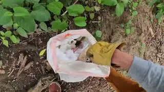 River trash pickup 6 11 25