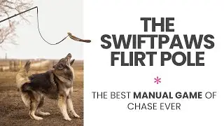 How to Use the SwiftPaws Flirt Pole | Easy Enrichment for Pets