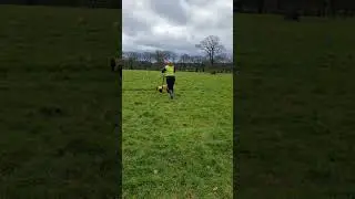GPR utility surveyor video