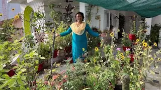 मेरे गार्डन में है धार्मिक पौधों की भरमार 🙏 पौधों की वैरायटी है कुछ हटकें 😊 Plants for Worship 😲