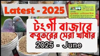 2025 June টংগী বাজার কবুতরের হাটে সেরা দামে কবুতরের খাবারের কিনুন | Pigeons Food Market Tongi Bazar