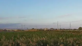 E464 343 Passomartino