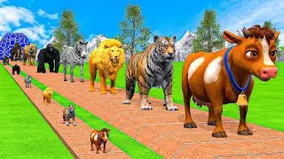 Long Slide Game videos ll cow Gorilla elephant fish videos ll funny 3danimal videos comdey videos 