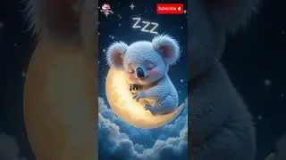 M&uacute;sica Relajante #paradormirmusic #m&uacute;sicaparadormir #insomnio #aliviodelestr&eacute;s #sleepmusic #animals