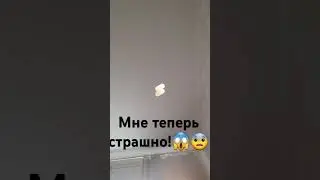 я теперь боюсь спать одна
