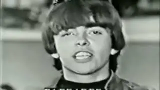 Standells 