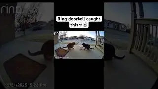 Ring doorbell caught this?⚽️🤣 #viral #funny #football #youtubeshorts #reels