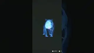 My First Ever Grizzly Bear Kill Class 7 (Gold Medal)🐻🥇 | theHunter: Call of the Wild