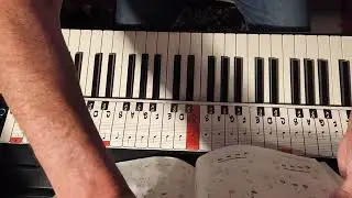 Learn the piano ion the firstest time #beginners #piano #beginnermethod @HDpiano 