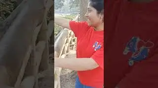 National zoological park Delhi #vlogs