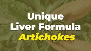 🌟&nbsp;Unveiling artichokes: the ultimate liver regenerator! | Nation Health MD | Part 2