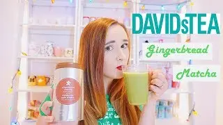 DAVIDSTea Gingerbread Matcha | Tea Review & First Impression | Dana DeStefano
