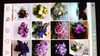 VID 20190209 215712