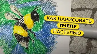 How to draw a bee with pastels