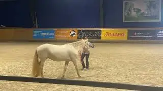 Importance of Lateral Balance for Liberty Posture Focused Training &reg; Clinic Mustang Makeover Germany