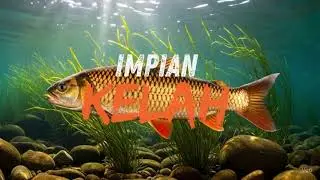 IMPIAN KELAH