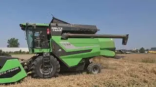 Weizen 2025 / Weizen dreschen mit Deutz Fahr C5303