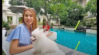 🐶Pet Friendly Condo in Chiang Mai - 🔥 Rare opportunity to find a pet-friendly condo in Chiang Mai!🔥