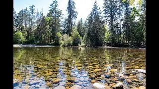 Riverbend River Tent Sites and Beach