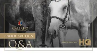 Callaho Online Auction Q&A in partnership with HQ