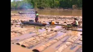 Transporte de madera en el río Ucayali.wmv