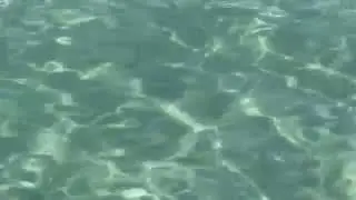 Ibiza Water