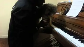 Zinc's First Piano Lesson! #EvansStyle