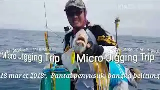 Micro jigging game ,fun fishing indonesia