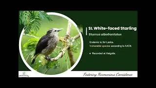 KVPL Wildlife & Industry A Coexistence Story