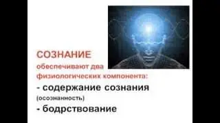Кома М.А.Пирадов (2 МСН)