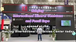 2025 Nanjing International Mineral Gemstone and Fossil Expo opened today~