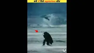 Unique animals found in frozen ice #viral