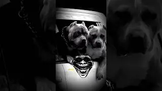 &ldquo;Epic Transform&rdquo;#trollfaceedit #trollface #memes☠️#shorts#troll #edit