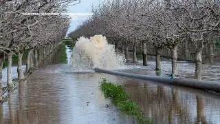 Trump executive order could divide control of CA's water system, putting distribution at risk