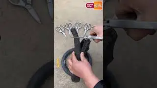 Kitchen Scissors Stainless Steel