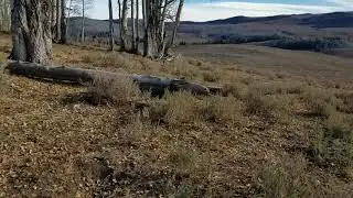 Fish Lake National Forest camping and clean up.