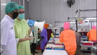 Tinjau PT BMI, Presiden Jokowi Melihat Proses Pengolahan Produk Perikanan, Lamongan, 6 Mei 2021