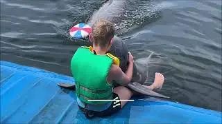 Amazing and once in a life time - Swim with Dolphins - Chantaburi