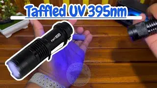 SENTER TAFFLED SINAR UV 395NM BANYAK KEGUNAAN