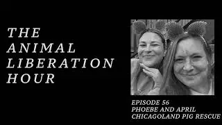 The Animal Liberation Hour /// Episode 56 - April Noga and Phoebe Conner of Chicagoland Pig Rescue