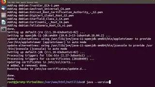 Linux Basics: Install Java on Linux