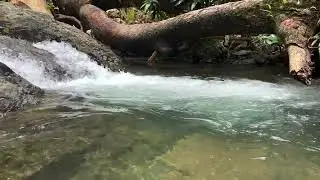 30 minutes Relaxing flowing water sound💧💦💚  #sonidodeagua #biohacking #sonidospararelajarse