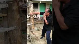 New Wing Chun: Train Your Brain with Fast Movements #kungfu #taichi #wingchun #shaolinkungfu
