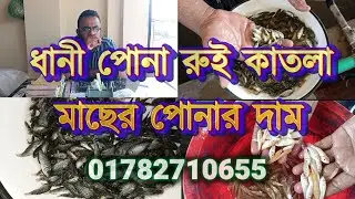 রেণু ধানী পোনা | রুই কাতলা মাছের পোনার দাম যোগাযোগঃ 01782710655-01306300721
