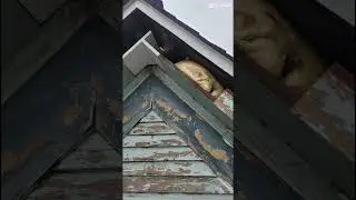 Exterior repairs/tranformation by OnTime Handyman #ontimehandyman #fyp #fypシ #fypシ゚viral #upgrade