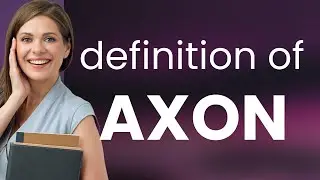 Axon | definition of AXON