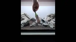 AQUARIUM HARDSCAPING | IWAGUMI STYLE #aquascaping #fishtank #aquariumhobby