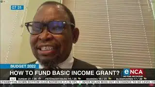 Budget 2022 | How to fund basic income grant?