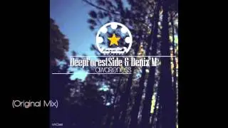 DeepForestSide & Deniz M - Gazing Across The Abyss (Original Mix)